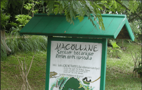 association-macollines